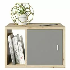 BAUHAUS Phönix Fortuna Beistelltisch L X B X H: 34 X 58 X 39,2 Cm, Eiche, Mit Türeinsatz