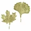 BAUHAUS Garderobenhaken Set Ginko/Ahorn L X B X H: 20 X 3,5 X 25 Cm, Gold
