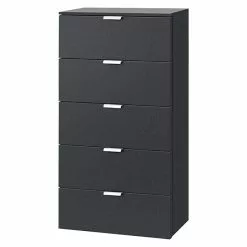 BAUHAUS Express Möbel Highboard Solutions L X B X H: 42 X 50 X 100 Cm, Graphit, Anzahl Schubladen: 5 Stk.