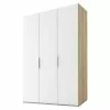 BAUHAUS Express Möbel Drehtürschrank Swift B X T X H: 150 X 58 X 216 Cm, Ohne Spiegel, Mit Zubehör, Farbe Front: Weiß, Farbe Korpus: Eiche Jackson